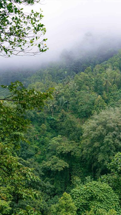 Ceburan-Dukuh-Waterfall-010