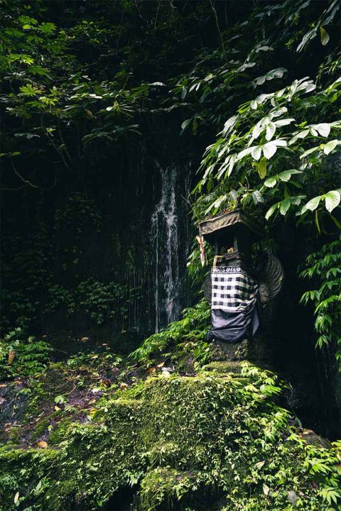 Gitgit-Twin-Waterfall-002