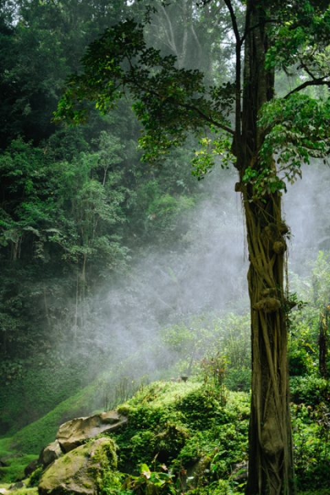 Gitgit-Waterfall-003