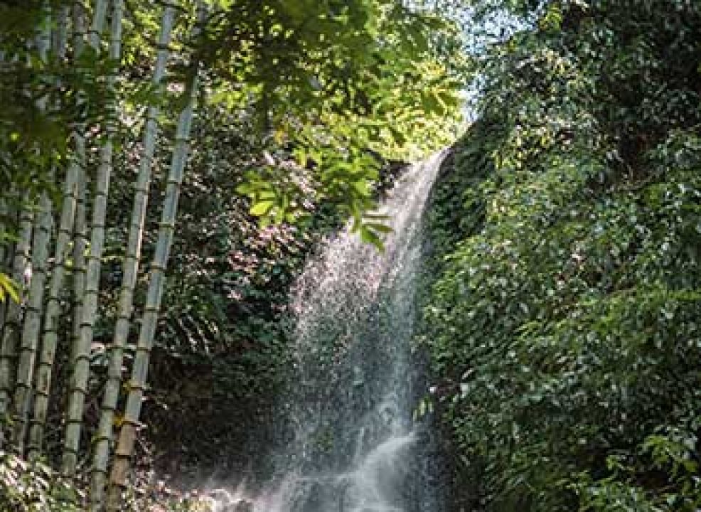 Medium-Trekking-Featured-Image